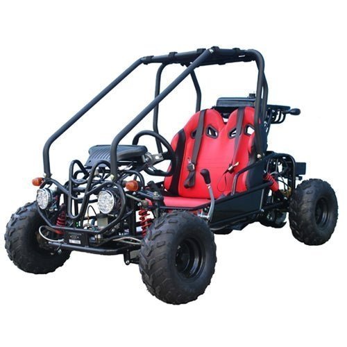 110cc Kids Gas Go-Kart / Dune Buggy with Roll Cage, Suspension & Off-Road Capability