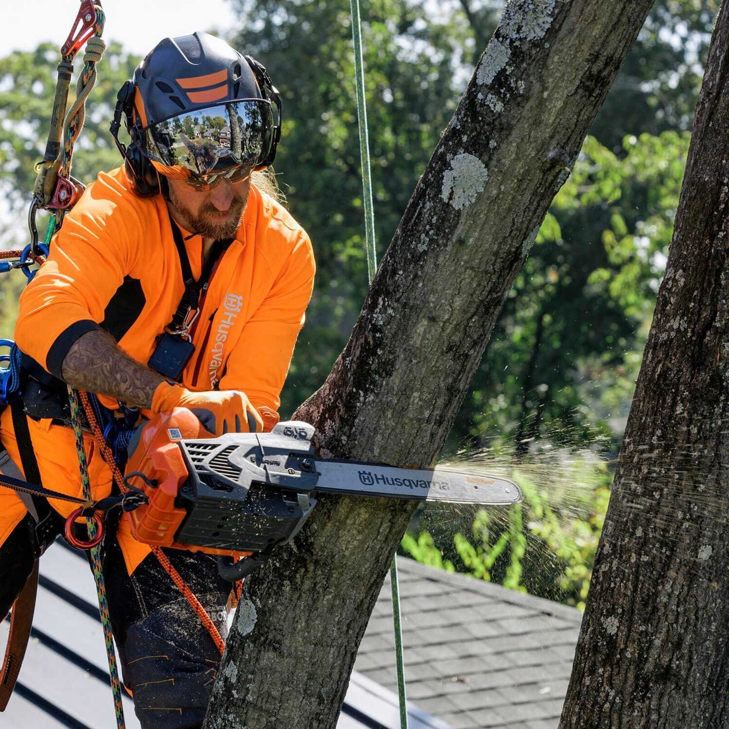 Top-Handle Gas Chainsaw – 40cc Arborist Tree Care Saw - Image 6