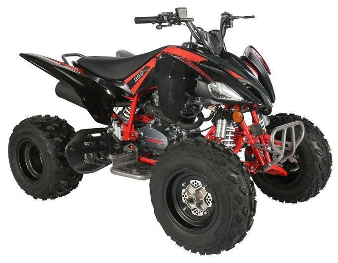 Regency PRO Ultra Sport 250cc ATV - Image 6