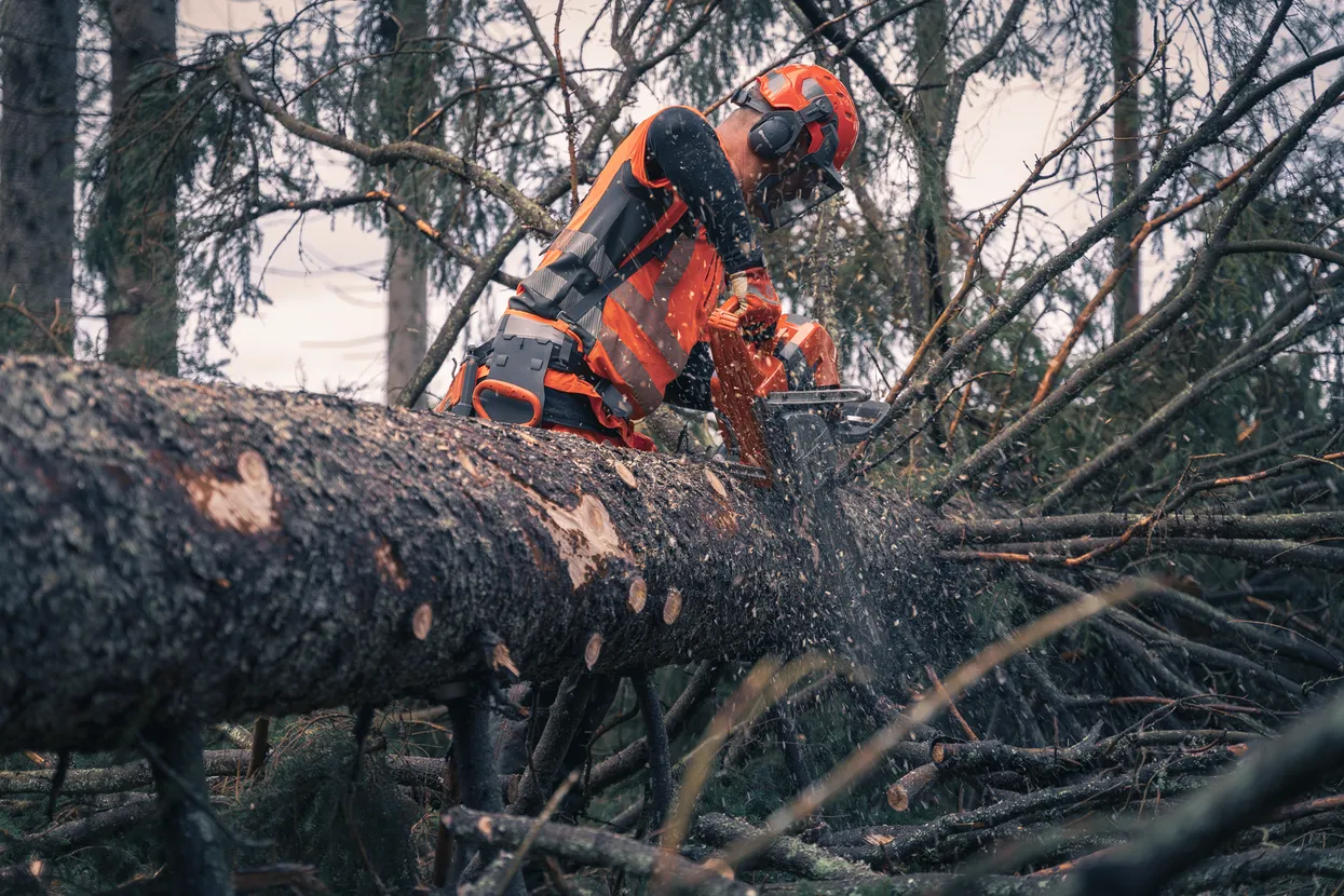 Professional 93cc Gas Chainsaw – Heavy-Duty Forestry & Tree Cutting Saw with High Cutting Capacity - Image 9