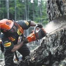 50cc Gas Chainsaw with Heated Handles – High-Performance Forestry & Tree Care Saw - Image 4